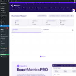 Page screenshot: Dashboard → ExactMetrics