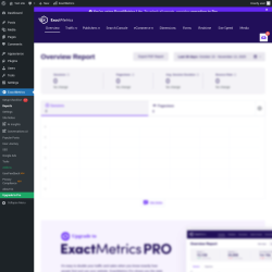 Page screenshot: Dashboard → ExactMetrics