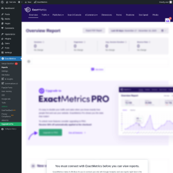 Page screenshot: Dashboard &rarr; ExactMetrics
