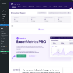 Page screenshot: Dashboard &rarr; ExactMetrics