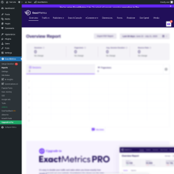 Page screenshot: Dashboard → ExactMetrics