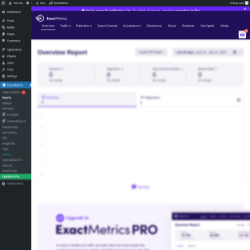Page screenshot: Dashboard → ExactMetrics