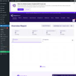 Page screenshot: Dashboard → ExactMetrics