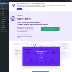 Page screenshot: Welcome to ExactMetrics ‹ Test site — WordPress