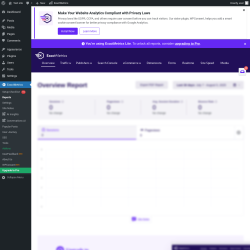 Page screenshot: Dashboard → ExactMetrics