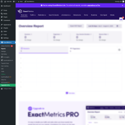 Page screenshot: Dashboard → ExactMetrics
