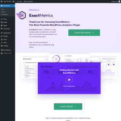 Page screenshot: Welcome to ExactMetrics ‹ Test site — WordPress