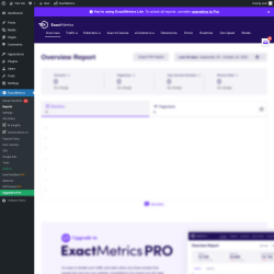 Page screenshot: Dashboard → ExactMetrics