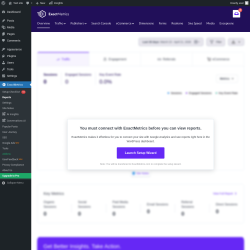 Page screenshot: ExactMetrics &rarr; Reports