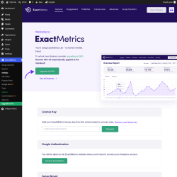 Page screenshot: ExactMetrics