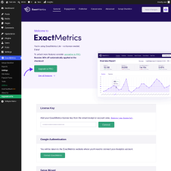 Page screenshot: ExactMetrics