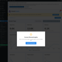 Page screenshot: Insights &rarr; Custom Views&nbsp;NEW