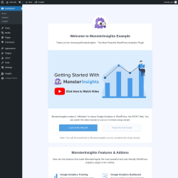 Page screenshot: Welcome to MonsterInsights &lsaquo; Test site &mdash; WordPress