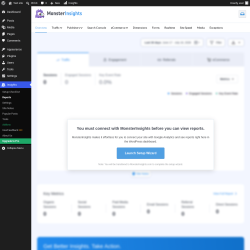 Page screenshot: Insights &rarr; Reports