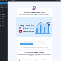 Page screenshot: Welcome to MonsterInsights ‹ Test site — WordPress