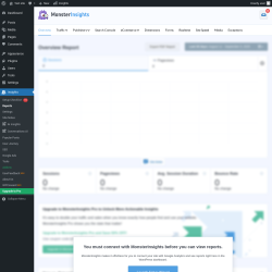 Page screenshot: Dashboard → Insights