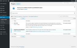 Page screenshot: Plugins &lsaquo; Test site &mdash; WordPress