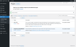 Page screenshot: Plugins &lsaquo; Test site &mdash; WordPress