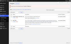 Page screenshot: Plugins &lsaquo; Test site &mdash; WordPress