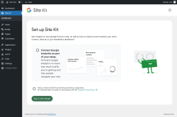Page screenshot: Site Kit