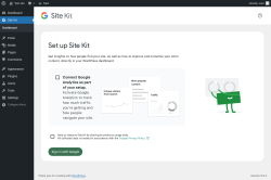 Page screenshot: Site Kit