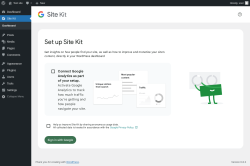 Page screenshot: Site Kit
