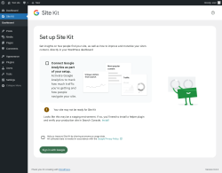 Page screenshot: Site Kit