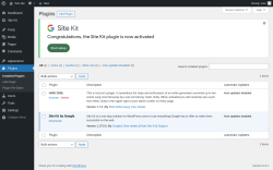 Page screenshot: Plugins &lsaquo; Test site &mdash; WordPress