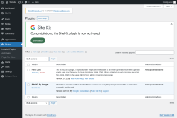 Page screenshot: Plugins &lsaquo; Test site &mdash; WordPress