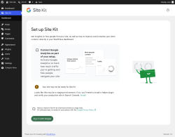 Page screenshot: Site Kit