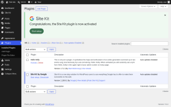 Page screenshot: Plugins &lsaquo; Test site &mdash; WordPress