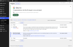 Page screenshot: Plugins &lsaquo; Test site &mdash; WordPress