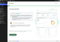 Page screenshot: Site Kit