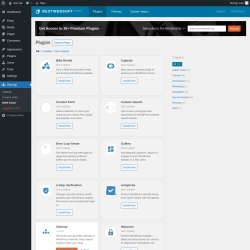 Page screenshot: Sitemap → BWS Panel