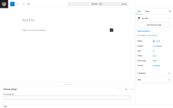 Page screenshot: Add Post ‹ Test site — WordPress