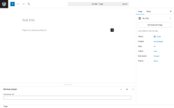 Page screenshot: Add Page ‹ Test site — WordPress