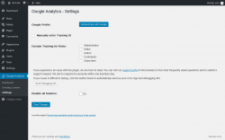 Page screenshot: Google Analytics &rarr; Settings