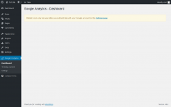 Page screenshot: Google Analytics