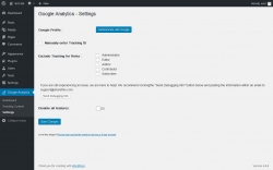Page screenshot: Google Analytics &rarr; Settings