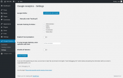 Page screenshot: Google Analytics &rarr; Settings