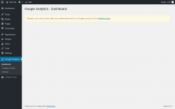 Page screenshot: Google Analytics