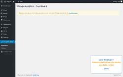 Page screenshot: Google Analytics