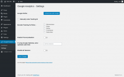 Page screenshot: Google Analytics &rarr; Settings
