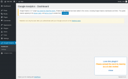 Page screenshot: Google Analytics
