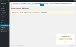 Page screenshot: Google Analytics