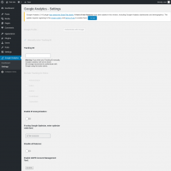 Page screenshot: Google Analytics &rarr; Settings