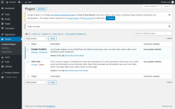 Page screenshot: Plugins &lsaquo; Test site &mdash; WordPress