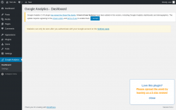 Page screenshot: Google Analytics