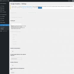 Page screenshot: Google Analytics &rarr; Settings