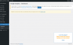 Page screenshot: Google Analytics